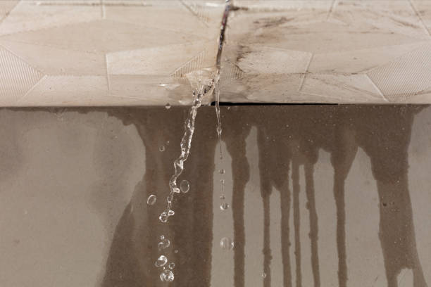 Professional Structural Drying technician working in Athens, OH